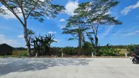 Disewakan Tanah Datar di Timur Terminal Bis Kebumen