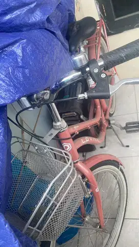 Sepeda poligon Lovina Pink