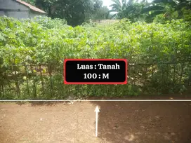 TANAH KEBUN MURAH DAN STRATEGIS DI CIBEUTEUNG UDIK CISEENG BOGOR