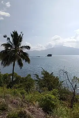 LAND BEACH FRONT IN SOUTH SUMATERA