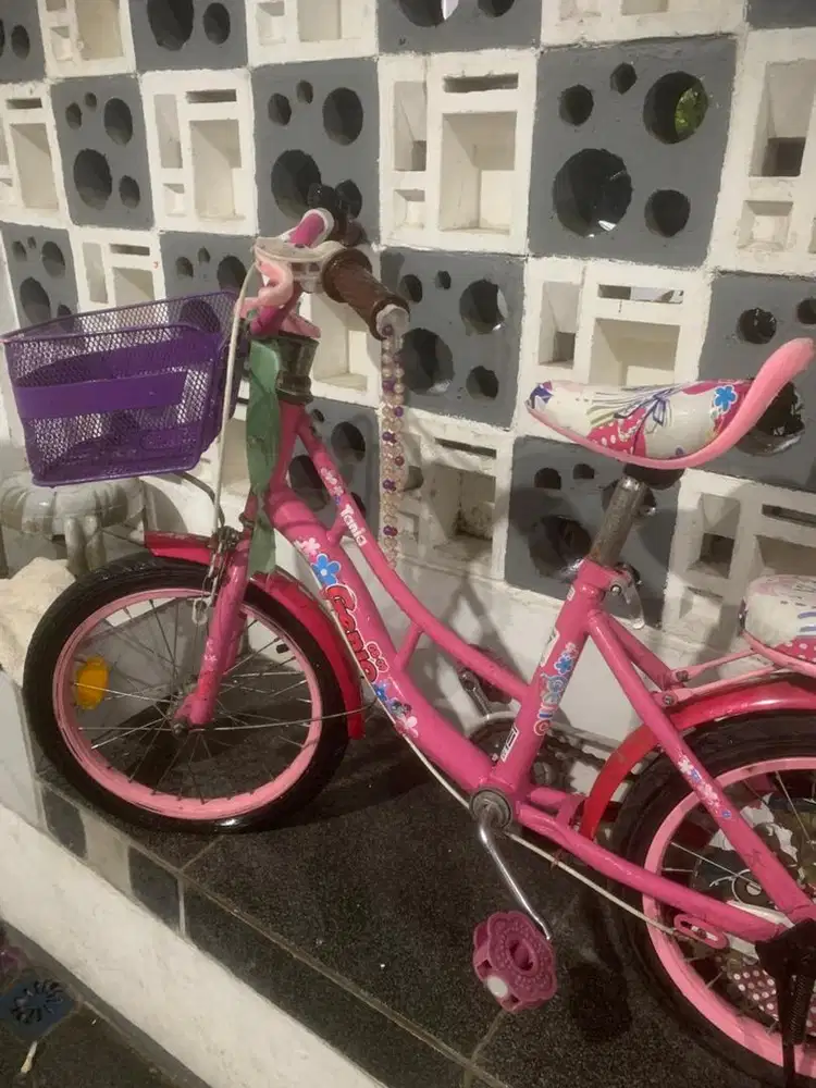 Sepeda Genio anak warna ping 16in