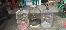Sangkar love bird borongan 3biji ruji tebal