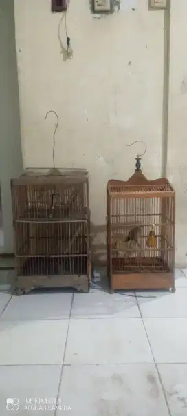 Trucukan jinak & 2 kandang