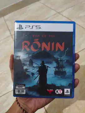 Rise of ronnin bd ps 5