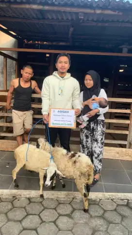 jual kambing domba aqiqah, paket aqiqah, kambing hidup / potong cacah.