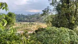 Dijual Tanah  Padat di Hook  Cocok Untuk Villa View Bagus Ciwidey