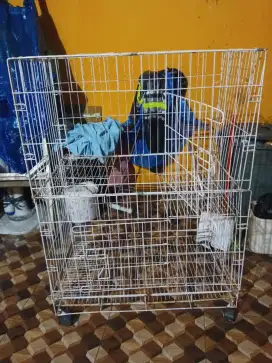 Kandang Kucing Besar