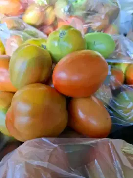 Buah tomat segar