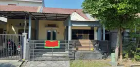 Dikontrakan murah rumah siap huni bukit palma citraland