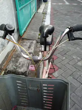 Sepeda mini 20 keranjang