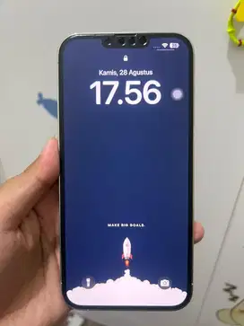 Iphone 13 Pro Max 1TB