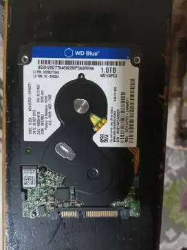 Hdd Laptop 2.5 WD Blue Normal