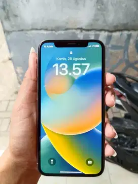 iPhone x inter 64 gb
