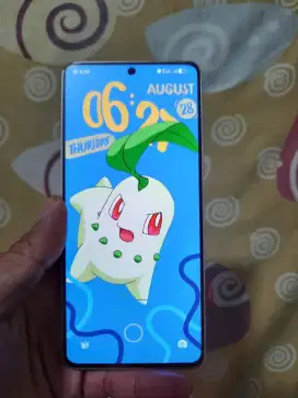 Poco X6 pro 12/512