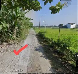 BU SEGERA. Dijual : 1,35 JT/M ( Rp 350 Jt ).  Tanah Pekarangan 260 M2.