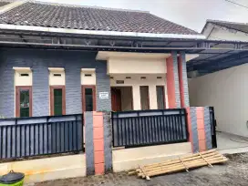 Di Kontrakan Per Tahun