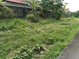 Tanah Murah Area Sorowajan Lokasi Dekat Amplaz Dan JEC