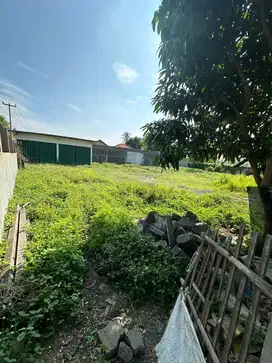 Dijual murah tanah di Pakuhaji-Tangerang(SHM)
