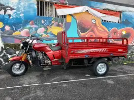 Viar long bit 200cc - 100cc siap pakai