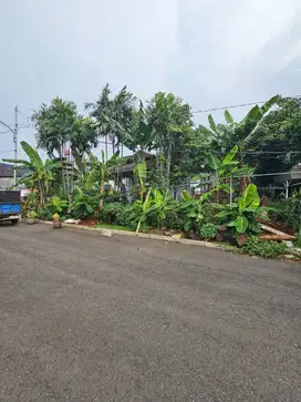 Komplek, Dkt Sampoerna Univ. Tanah Dijual Pancoran, Jarang Ada, NEGO