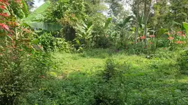 Oot-Tanah SHM di Tingkir Lor/Kota Salatiga