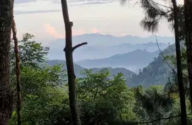 TANAH KAWASAN CIJERUK SAGULING DEKAT CANYON CIKAHURIPAN