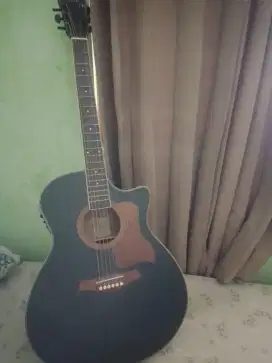 Gitar jgs ori fishman