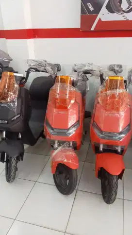 Sepeda listrik M60L