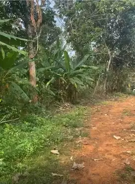 TANAH MURAH COCOK UNTUK PERUMAHAN DI MULAWARMAN TEMBALANG SEMARANG