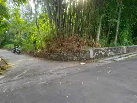 TANAH TEGALAN ASRI TIMUR PASAR KEMBANG, KEMALANG