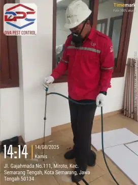 Anti rayap bergaransi dan pembasmi hama