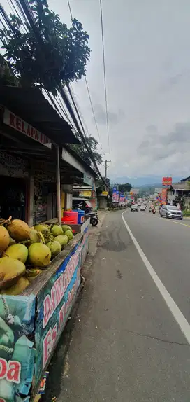Jual Cepat Tanah di Jl. raya Puncak - Gadog,Ciawi