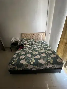 Kasur ambil semua