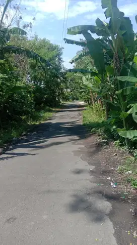 Dijual Tanah Sawah Jakal Km 8 Dekat Tengkleng Gajah