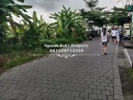 Disewakan Tanah Premium Murah Luas 29 Are di Jln Bisma Ubud