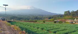 Dijual Lahan Zona Kuning View Bagus Dekat Alun Alun Kota Batu