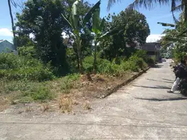 DIJUAL TANAH PEKARANGAN LOKASI SIDOMOYO GODEAN