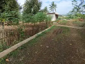 JUAL TANAH BOBOTSARI PURBALINGGA