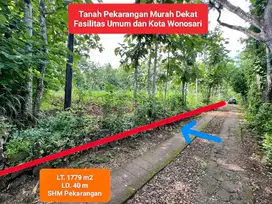 Jual Tanah murah pekarangan di Utara Kota Wonosari Gunung Kidul