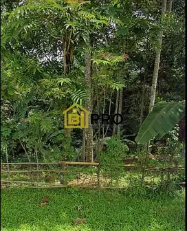 Dijual Tanah Pinggir jalan Curugbitung Lebak banten Guradok