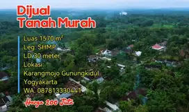 Di Jual Murah Kebun Jati & Status SHMp Luas 1570m² Harga 200 Juta