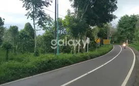 Tanah Cocok Untuk Hotel Dan Restoran ,Lokasi Ke Arah Gunung Ijen