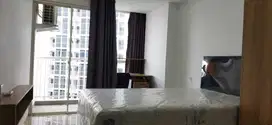 Disewakan Apartemen Pacific Garden Deket Binus Alam sutera