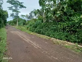 Dijual Tanah Pinggir jalan di Kalijati Subang dekat exit tol kalijati