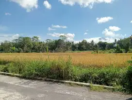 2 Jt-an Tanah Dekat Pasar Rejodani Jalan Palagan Sleman