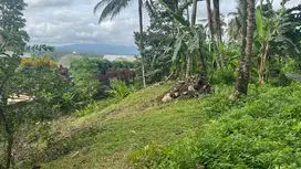 jual tanah luas kecil view gunung di tabanan bali.