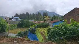 Dijual tanah kosong 20m x 32 m di Laugendek Berasagi