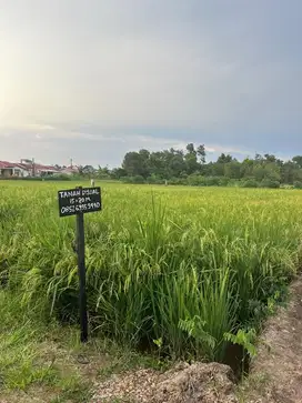 Dijual tanah pribadi tanpa perantara