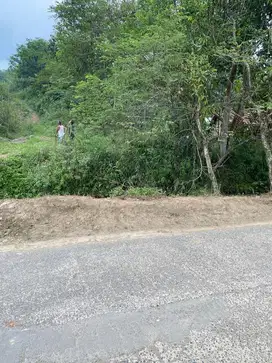 Dijual tanah daerah jonggol jalan peta derjad
