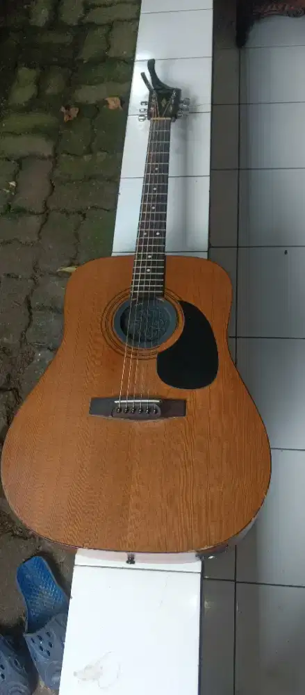 Gitar cort ad810